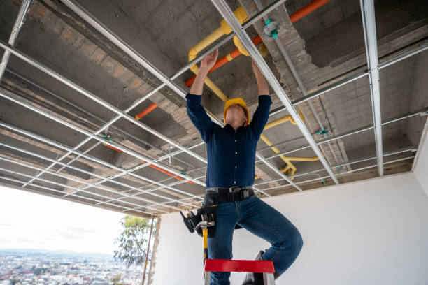 Best Affordable Plumber Near Me  in Limestone Creek, FL