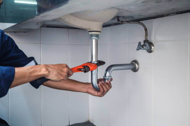Best Commercial Plumbing Services  in Limestone Creek, FL