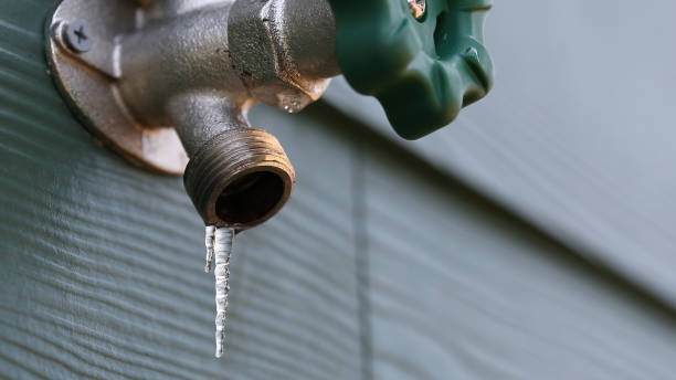 Best Local Plumber Services  in Limestone Creek, FL